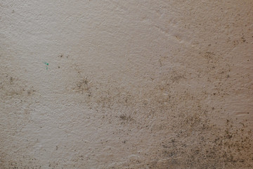 Mold and dirt and fungus growing on the corner of the wall near the floor. Difficult to remove dirt.