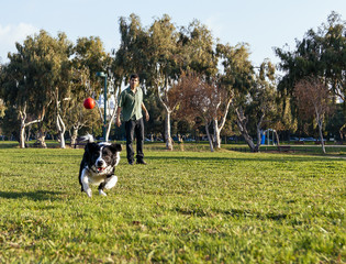 Obraz na płótnie Canvas Dog Fetching in the Park