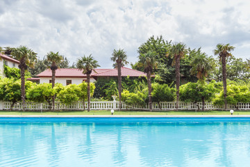 Ряд пальм и бассейн с голубой водой летом