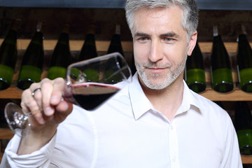 Winiarnia, mężczyzna degustuje czerwone wino - obrazy, fototapety, plakaty