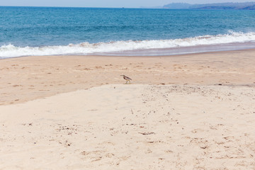 View of a turquise color sea with a tropical beach.