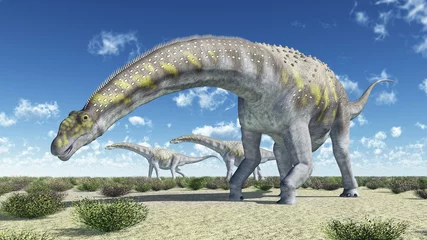 Fotobehang Dinosaurussen Dinosaurier Argentinosaurus  © Michael Rosskothen
