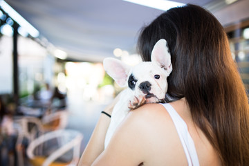 Beautiful young woman sitting in cafe with her adorable French bulldog puppy. Spring or summer city outdoors. People with dogs theme.