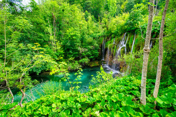 Naklejka na ściany i meble Plitvice Lakes, Croatia. Natural park with waterfalls and turquoise water