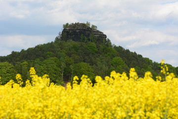 Zirkelstein
