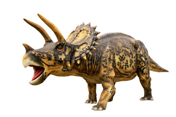 Fototapeta premium Dinozaur triceratops i model potwora Pojedyncze białe tło