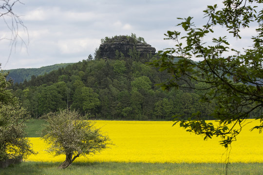 gradwert Fotos, Bilder, Stockmedien Adobe Stock