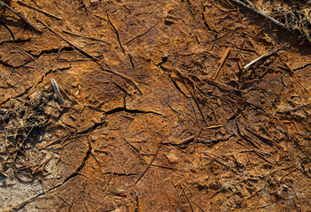 Abstract red soil background. Land with dried fertilizers