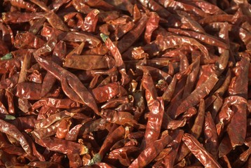 Red Chili with spicy taste 