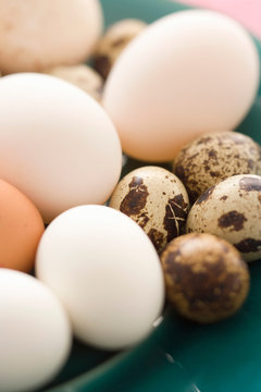 Close up of various colorful eggs