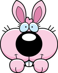 Cartoon Bunny Peeking
