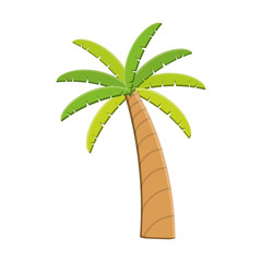 tropical palm icon over white background. colorful design. vector illustration