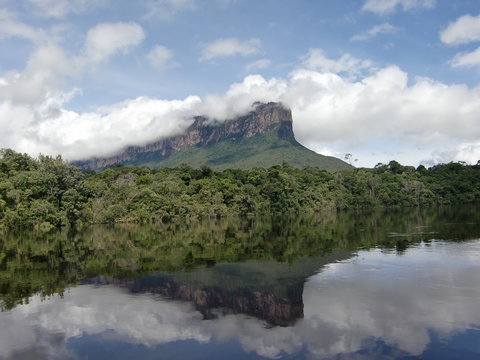 Tepui: Canaima National Park