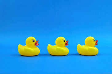 Yellow rubber duck on blue background.