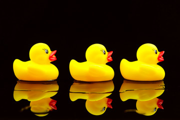 Yellow rubber duck on black background.