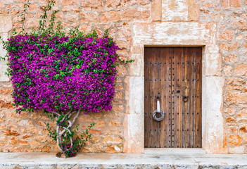 Old wooden door and stone wall with mediterranean bougainvillea