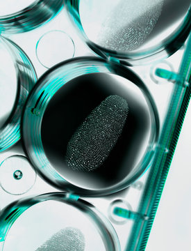 Close up of finger print in forensic lab