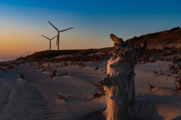 夕焼けの砂浜と風車