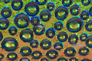 abstract water drops texture