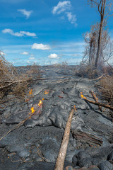 Magma in Lava field on Big Island Hawaii