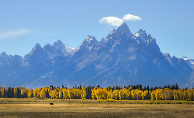 view of Teton Range in Grand Teton National Park