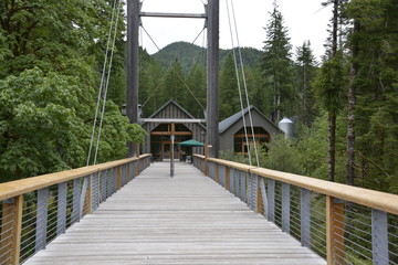 Fototapeta premium Bridge