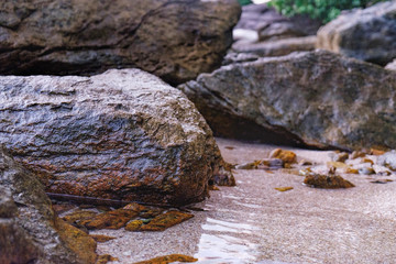 Close up of rocky shore texture background. Stones, Rocks, Sand on sunset time. Selective focus