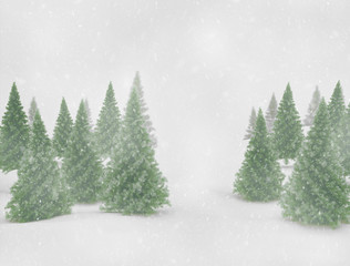 Obraz premium Winter landscape green pine trees and snow 
