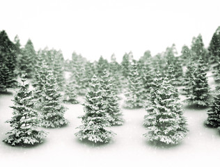 Winter landscape scene 