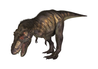 Fototapeta premium 3D renderowania tyranozaura dinozaura na białym tle