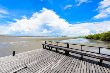 Nature learning path, made from wooden, and walk through Ceriops tagal forest