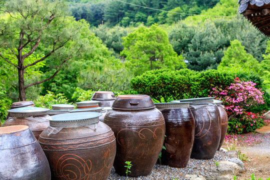 Traditional Korea jar in the garden