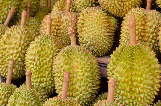 durain: king of tropical fruit