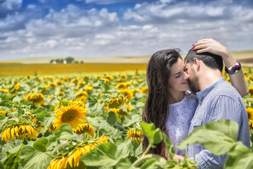 Couple of lovers in field of Sunflowers