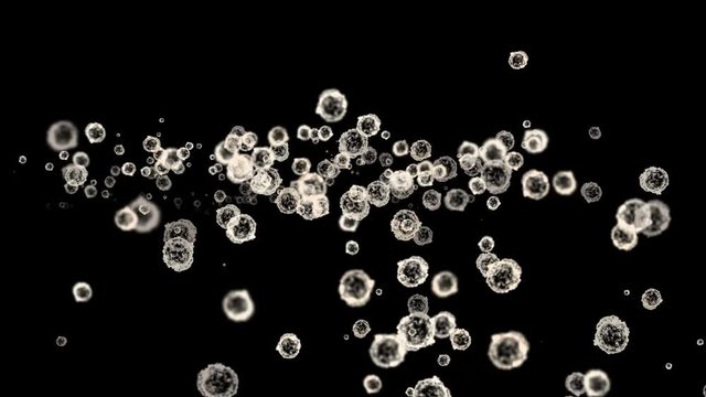 4k Abstract cells virus dust particles background.