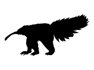 silhouette of