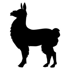 lama animal of South America © Perysty