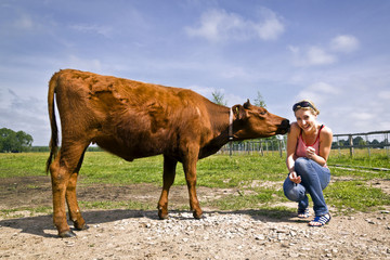 Portrait of young and attractive woman sitting next to the calf. And unexpectedly he started to lick her. Sunny day.