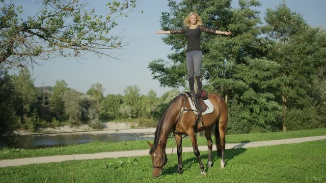 SLOW MOTION, CLOSE UP, DOF: Cheerful young woman doing tricks standing on horse's back with arms outstretched. Joyful girl performing stunts with her beautiful stallion. Gelding grazing on clover