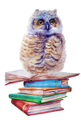 High books stack with owl isolated on white background