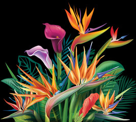 Obrazy  Kwiatowy bukiet z kwiatami Strelicji