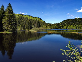 Tourbières de Lispach