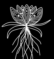 White Lotus in black