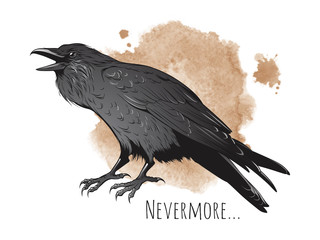 Hand drawn raven on sepia background vector illustration