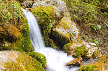 Obraz premium HDR Beautiful small waterfall of a mountain river in a forest shot on a long exposure