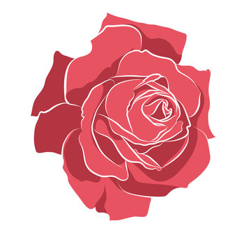 Beautiful hand drawn stencil rose, isolated on white background. Botanical silhouette of flower