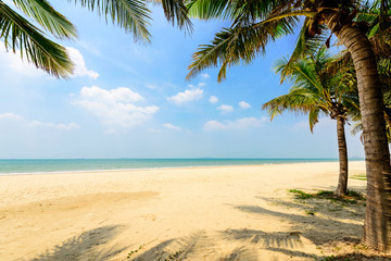 Naklejka na ściany i meble sunny tropical beach with coconut trees