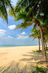 Obraz na płótnie Canvas sunny tropical beach with coconut trees