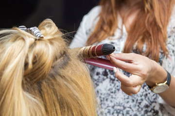 Fototapeta premium Brunette red hair hairdresser artist making curly hairstyle to blonde bride woman on her wedding day with iron. Studio interior, close up of a hands in process