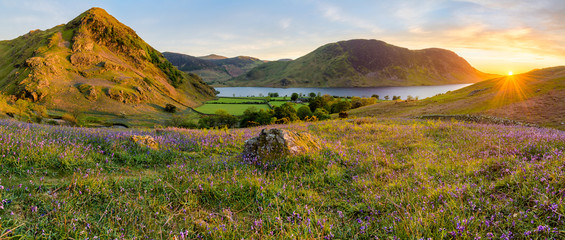 Beautiful sunset at Rannerdale Knots in the Lake District with bluebells and evening light shining on rock. - obrazy, fototapety, plakaty